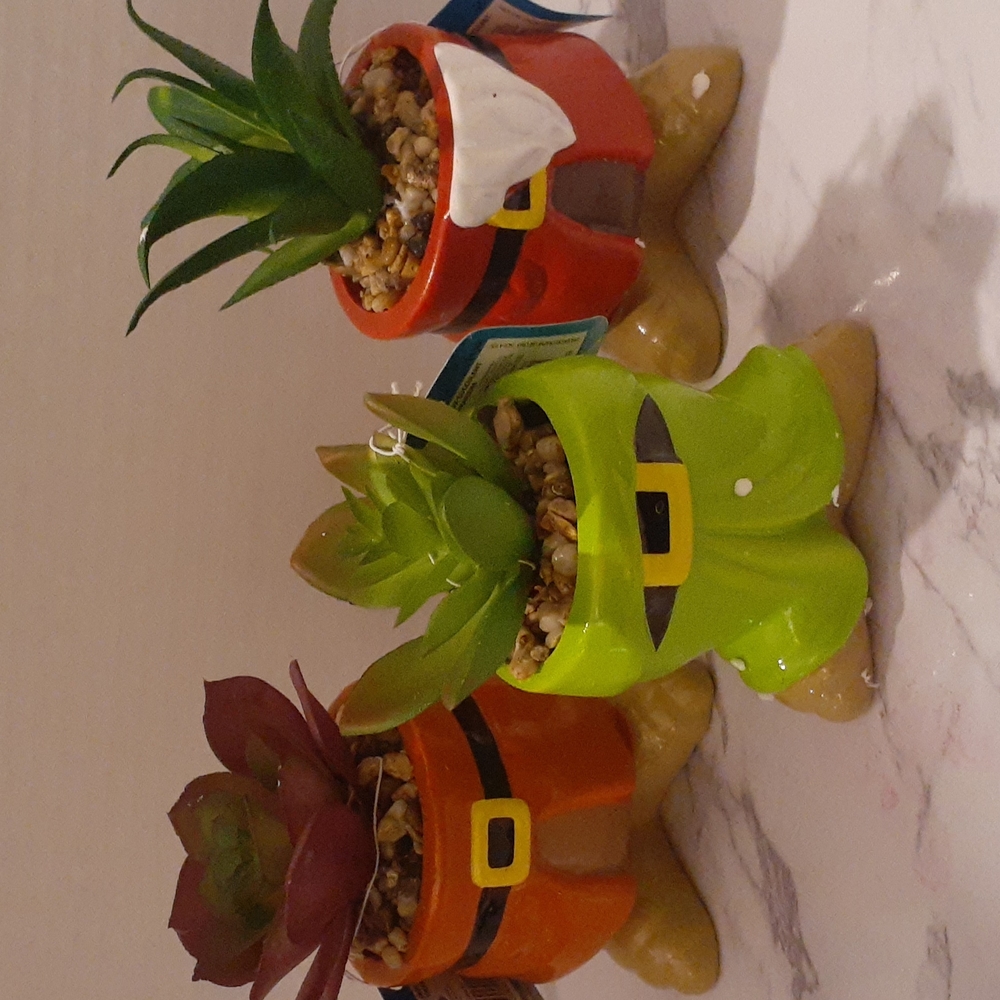 Disney Dorf Succulents planters.